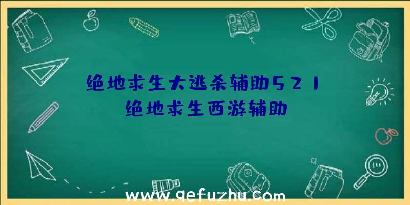 「绝地求生大逃杀辅助521」|绝地求生西游辅助